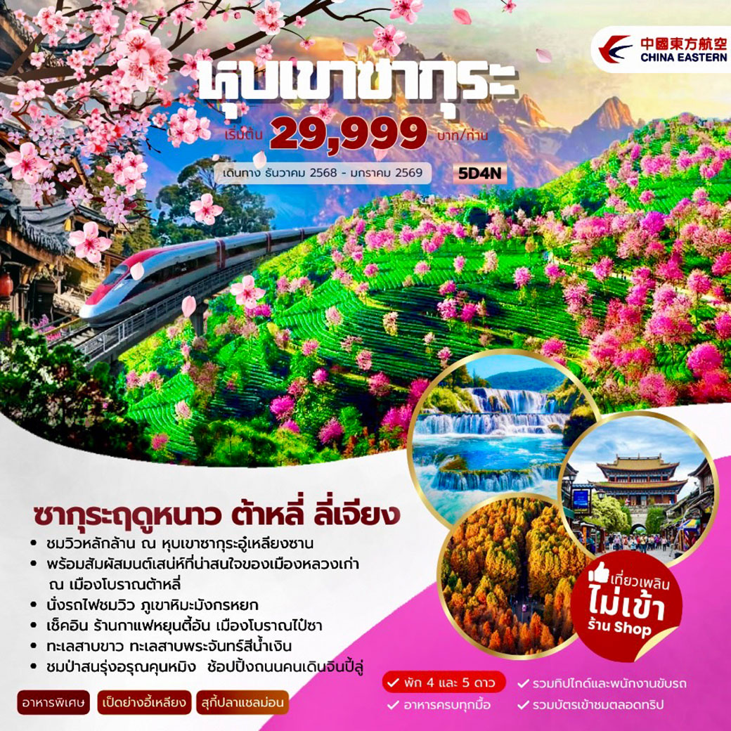 ทัวร์จีน หุบเข้าซากุระ ซากุระอู๋เหลียงซาน ภูเขาหิมะมังกรหยก 5วัน 4คืน (MU)